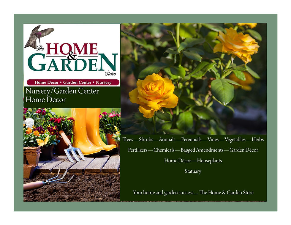 The Home & Garden Store - A small garden center with lots of variety
