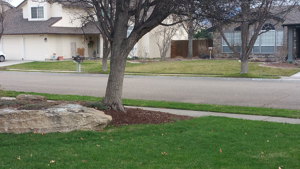 Fertilize your lawn now using Ferti-lome "Greenmaker fertilizer