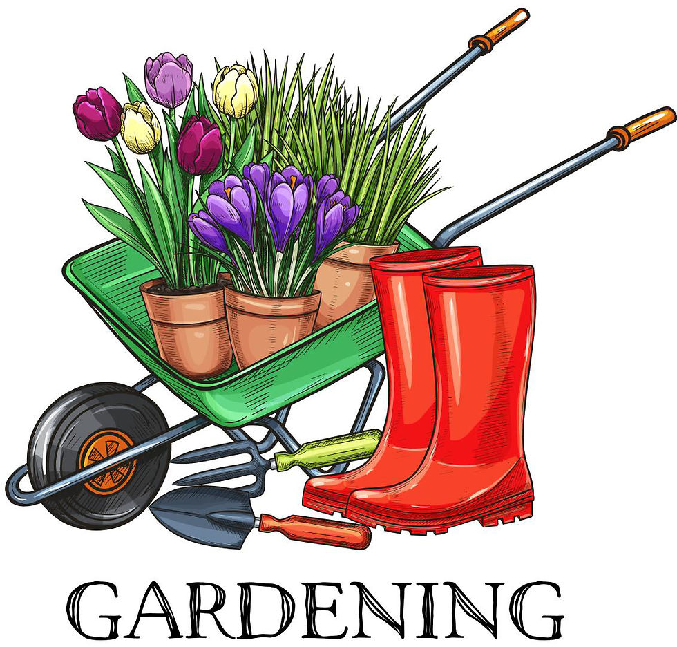 Do you have a new or existing home that may be in need of renvatiton? We can help and the winter months are a great time to plan for a spring makeover.