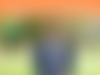 Wentworth Candidate Watch: David Shoebridge