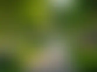 When Will I Get Married: The Uncertain Path to Matrimony