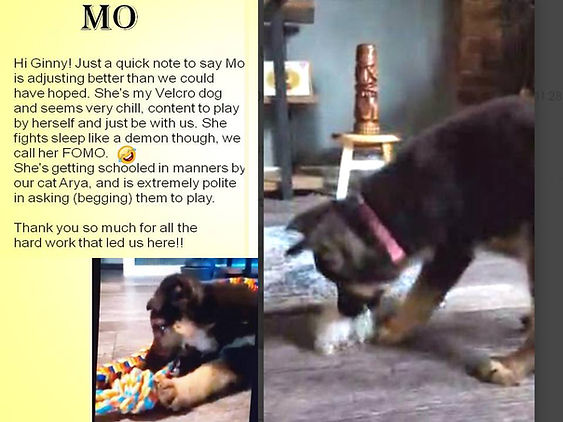 Belle 2025 F Y _MO Update.jpg