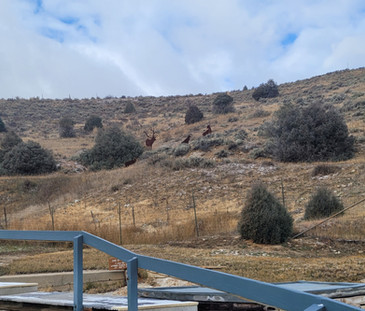 Hill side above pools