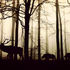 La symbolique des animaux