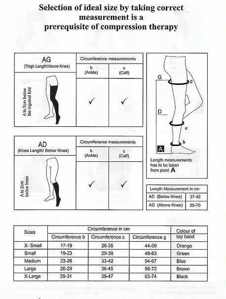 Scan 4.jpg