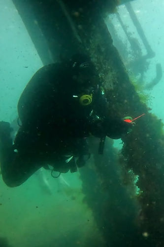 Diver laying line inside a wreck during PADI Wreck Course