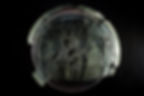 Engraved Glass Dish
