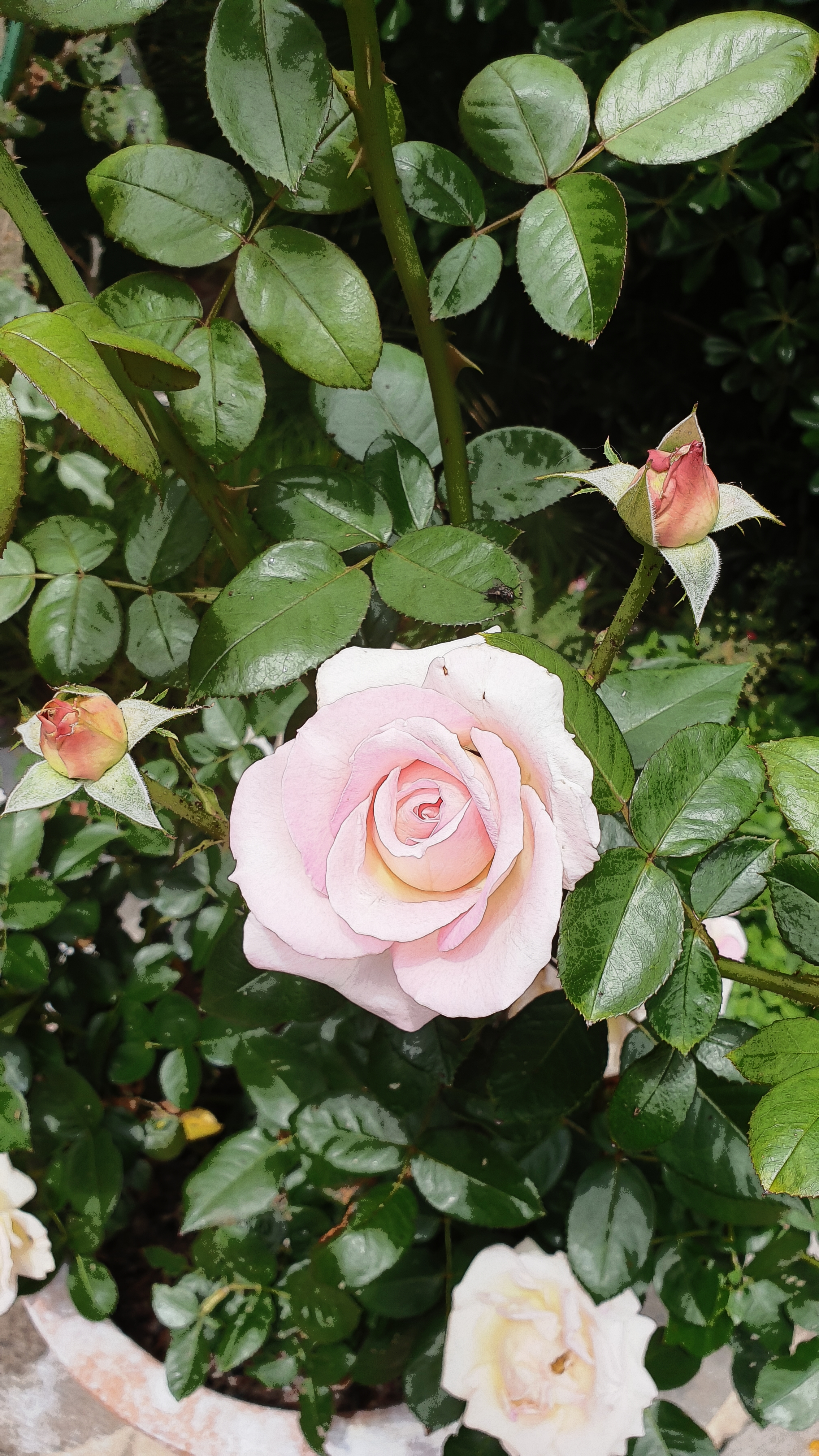 Photo du rédacteur: Aurore