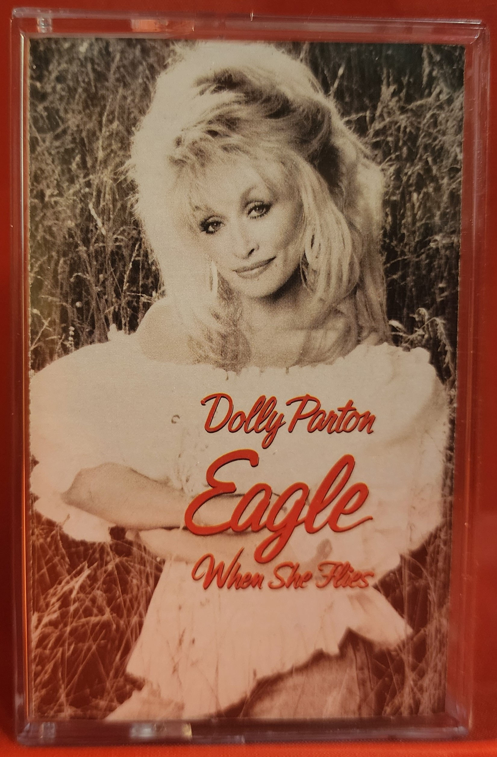 Dolly Parton – Eagle When She Flies (1991)