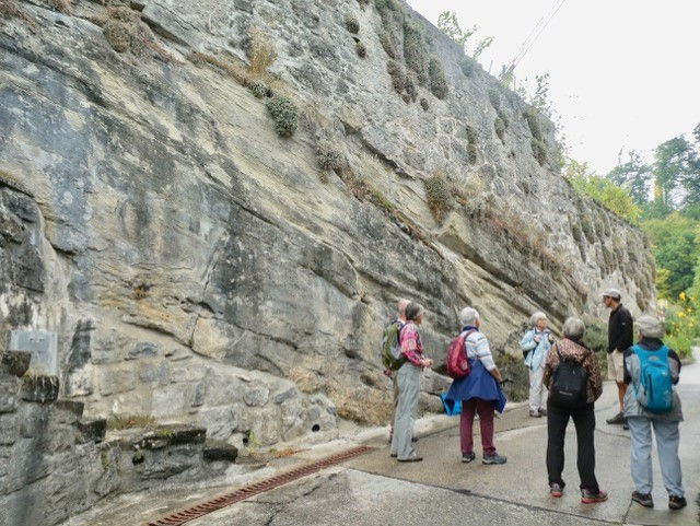Une falaise de molasses de Lavaux