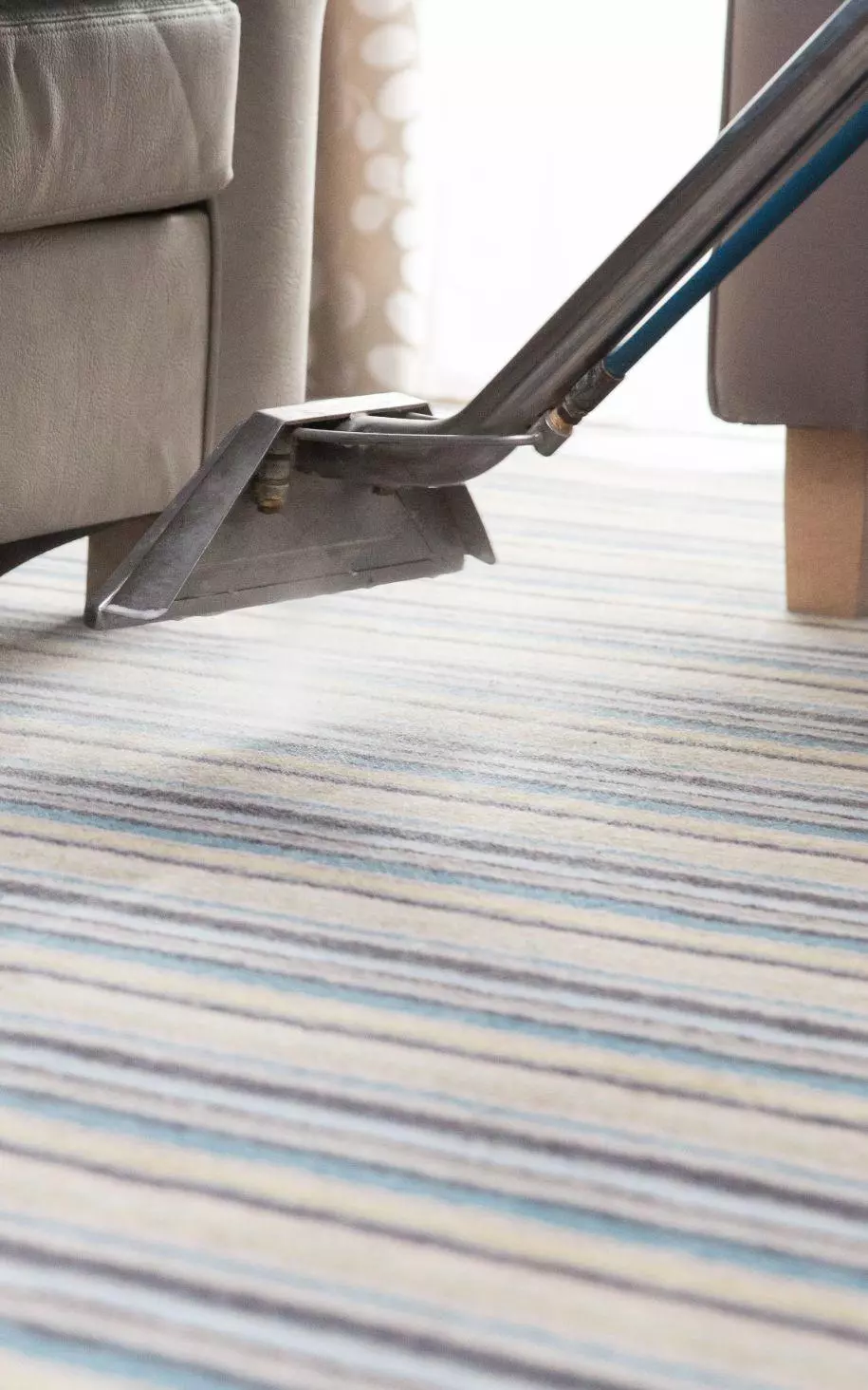 Professional Carpet Cleaning Services Near Me In Scarborough