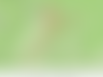 3 Sept – Five Bells – Buriton (11,9)