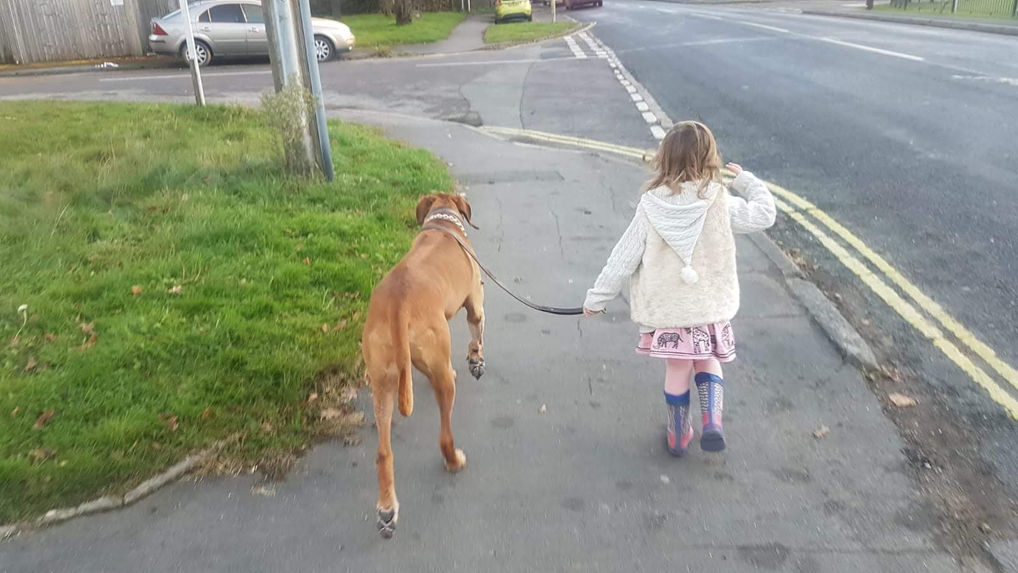 Rudy and Coco walking