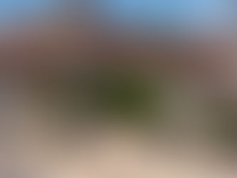 12 Nov Fox Goes Free, (11,13)