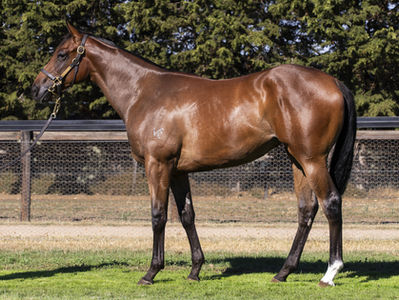 Trapeze Artist, TBB Racing, Dabernig Racing, Miss Adequate