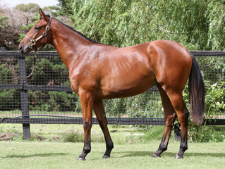 Need I Say More about this Dissident Filly?