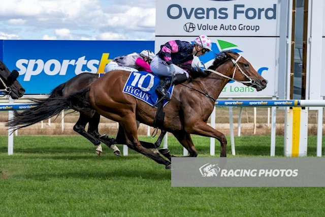 TBB Racing, Racehorse Syndications