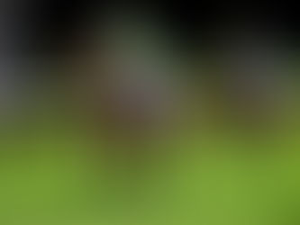 Beour Bay wins on debut run for new ownership