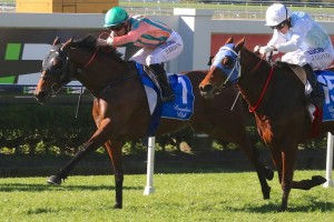 Get On The Grange At The Taree Cup