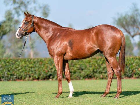 Russian Revolution x Precious Gem, TBB Racing
