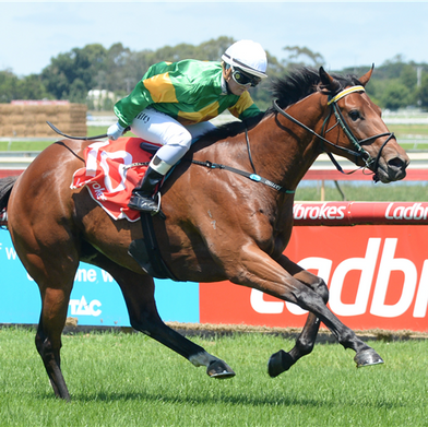 TBB Racing, Shane Nichols Racing, Exceedingly Magic