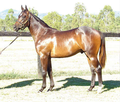 Deep Field x Caruselle colt