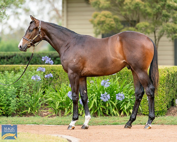 Hellbent x Tremezzina '21 Colt