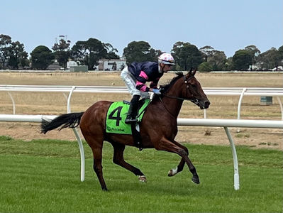 Panelli, Too Darn Hot, TBB Racing, Shane Nichols Racing, Segenhoe Stud