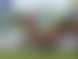 O'Halloran's fitting Saturday City breakthrough