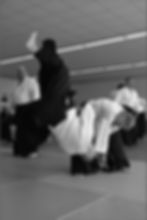 Luc Bouchareu Aikido