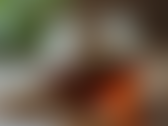 Customize Your Tea Blends for Maximum Wellness Benefits