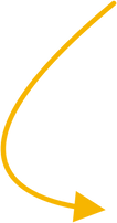 Path 2@3x.png
