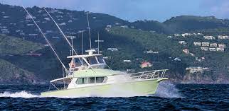 fishing trips st thomas, fishing charters sapphire beach resport, sapphire beach st thomas, deep sea fishing st thomas