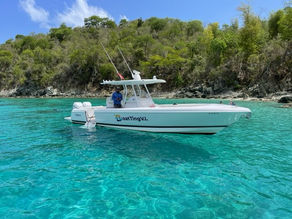 BoatTing VI-BVI & USVI Trips Available