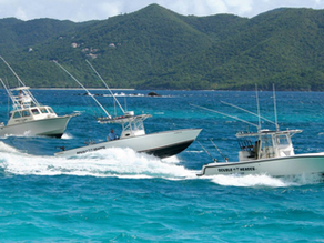 Double Header Sportfishing~1/2, 3/4 and Full Day Trips out of Sapphire Beach Marina