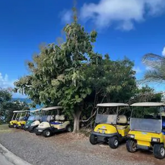 Rachael's golf cart rentals