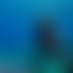 dive trips us virgin islands bvi