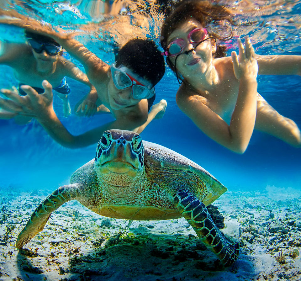 Sapphire Beach Day Trip Ideas Per Person Trips