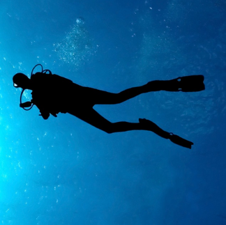 dive trips st thomas