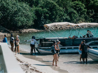 New Activities to Try in St. Thomas this Year!