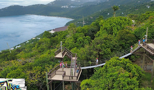 Tree Limin Extreme Zip Line St Thomas