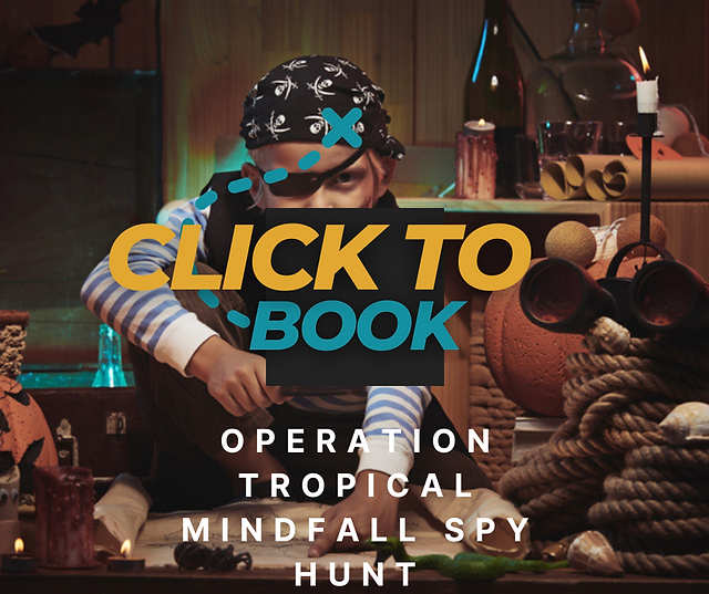 Family activities St thomas