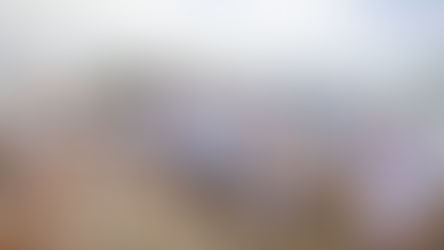 Professional Photographer in the US Virgin Islands