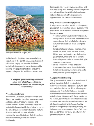 Queen Conch feature story St Thomas Magazine