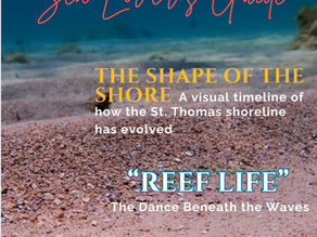 Dive Into the August Issue of St. Thomas Magazine