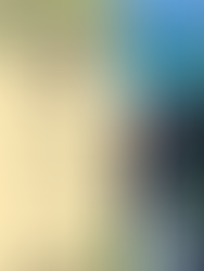 Tree Limin Extreme Zip Line St Thomas