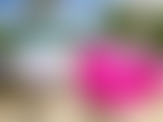 St. Thomas Close-Up: A Conversation with Island Photographer, Nick Heinemann