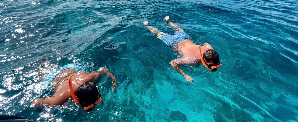 Snorkel trips to St John with turtles from Sapphire Beach Marina