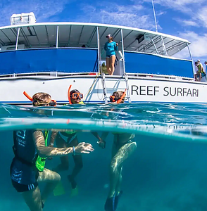 Reef Surfari Do It All Trip St Thomas