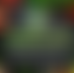 St Thomas Events November